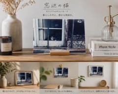 【写真ポストカード】廃屋の窓辺から見つめる猫 / ノスタルジックのサムネイル