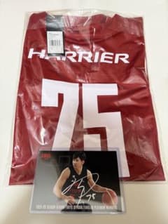 アルバルク東京 25-26 ファンユニフォーム 75 小酒部泰暉 XL サイン