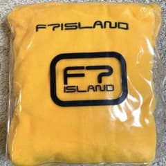 【Harumi様専用】FTISLANDポンチョ&付箋のサムネイル