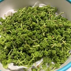 秋田産山菜セット専用のサムネイル