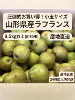 山形県産 ラフランス 9.5kg以上 約50玉 産地直送