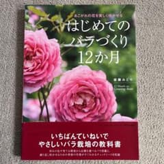 はじめてのバラづくり12か月 : あこがれの花を美しく咲かせるのサムネイル
