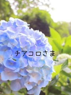 チアコロさま専用♡のサムネイル