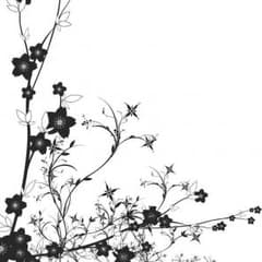（専用）ぱきゅ様のサムネイル