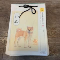 m49804330192_1.jpg?1710912766