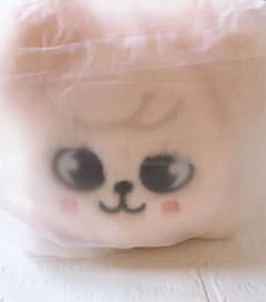 Stray kids SKZOO スキズ　メンプロ　パピームぬいぐるみ　スンミン Stray kids SKZOO スキズ メンプロ パピームぬいぐるみ スンミン