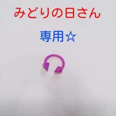 みどりの日さん専用サーキュラーのサムネイル