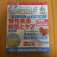 NursingCanvas(ナーシング・キャンバス)2015年２月号のサムネイル