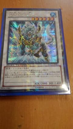 遊戯王 氷結界の虎王ドゥローレン　dtc1 シークレットのサムネイル