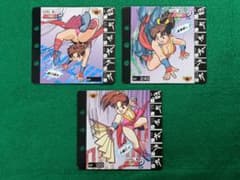 タカラ　餓狼伝説2　コレクションページ　キラページ24種　当選品 当時物 タカラ 餓狼伝説2 コレクションページ 不知火舞 3種セット