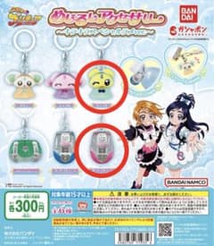 【未開封】プリキュアめじるしアクセサリー/キュアブラックセットのサムネイル