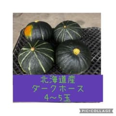 北海道産 ダークホース 4〜5玉のサムネイル
