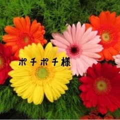 ★ポチポチ様専用★→専用完了のサムネイル