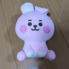 BT21 COOKY Plush Mascot