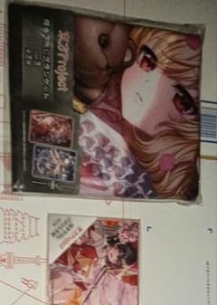 東方Project 描き下ろしブランケット アクリル色紙のサムネイル