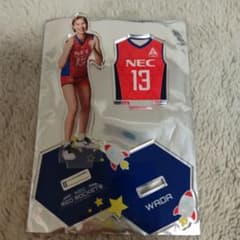 NECレッドロケッツ川崎 #13和田由紀子選手 アクスタ - メルカリ