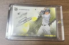 m49846414280_1.jpg?1754040710