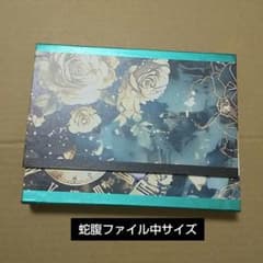 蛇腹ファイル 中サイズ ✩.*˚ - メルカリ