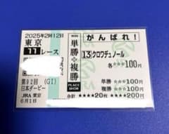 2025年 日本ダービー クロワデュノール 現地応援馬券 有効期限切れ