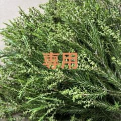mon rêve様専用です！のサムネイル