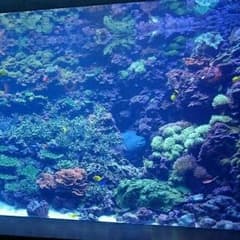 S様専用ページのサムネイル