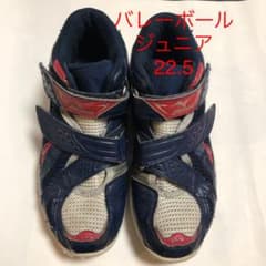 【SALE❗️ミズノ バレーボールシューズ スニーカー 22.5センチ】のサムネイル
