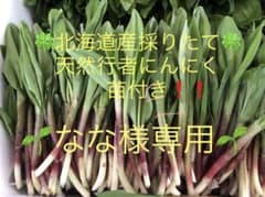 なな様専用2キロ‼️ アイヌネギ ❣️行者ニンニク❗️漫画ゴールデンカムイ❗️のサムネイル