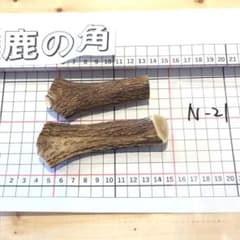鹿の角 N21 2本セット 100g 兵庫県産 鹿角 鹿のツノ しかつの - メルカリ