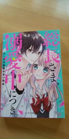 総長さま、溺愛中につき。2巻のサムネイル