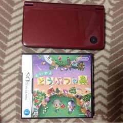 ニンテンドーDSi LL どうぶつの森オマケのサムネイル