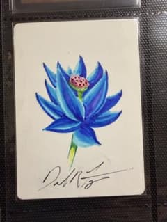 MTG アーティストプルーフDan fraizer MTG アーティストプルーフDan fraizer - メルカリ
