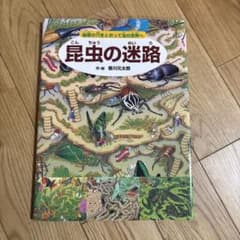 昆虫の迷路 秘密の穴をとおって虫の世界へのサムネイル