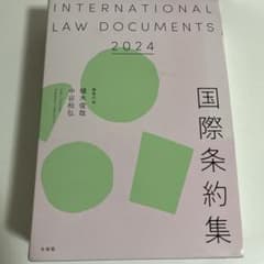 国際条約集 2024年版のサムネイル