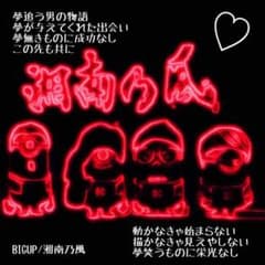 サレド様専用のサムネイル