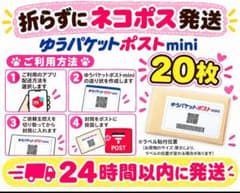 【24時間以内箱のままゆうパケットポストミニ発送】JALフェイラーキキララ 20枚 即日発送 ゆうパケットポスト mini ミニ封筒 - メルカリ