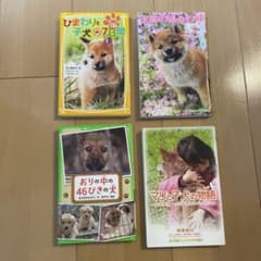 小説　4冊のサムネイル