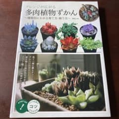 アレンジが広がる 多肉植物ずかん 種類別にわかる育て方・飾り方のサムネイル