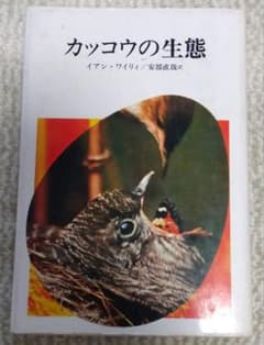 カッコウの生態 イアン・ワイリーのサムネイル