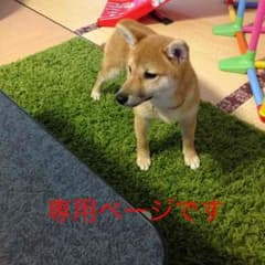 Macoco様専用ページです。のサムネイル