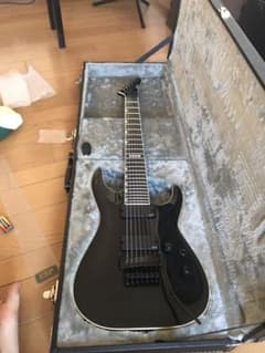 E-Ⅱ HORIZON FR-7 中古　ピックアップ変更　元のピックアップもありのサムネイル