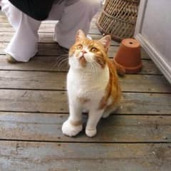 るりぽさん専用です。のサムネイル