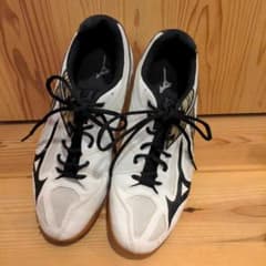 Mizuno バレーボールシューズ　サンダーブレイド3　27.5センチ Mizuno バレーボールシューズ サンダーブレイド3 27.5センチ - メルカリ