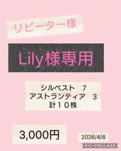 Lily様専用のサムネイル