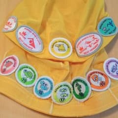 コナミ　水泳　進級バッチのサムネイル
