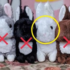 土井八郎様♡ご専用ですのサムネイル