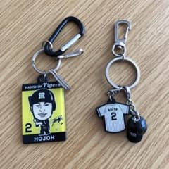 阪神タイガース　北條史也のサムネイル