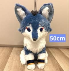 m50003763511_1.jpg?1768168072