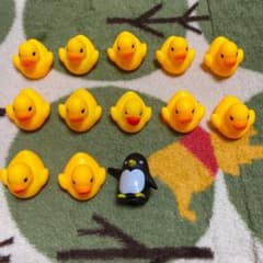 ひよこのサムネイル