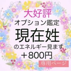 みかん様専用【数秘術】オプション 現在姓のエネルギー 占い鑑定書 「取扱説明書」のサムネイル