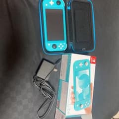 限定値下げ！スイッチ　ライト　ターコイズのサムネイル